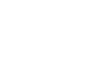 ARENA Events LOGO WHITE