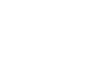 Business Day TV LOGO WHITE