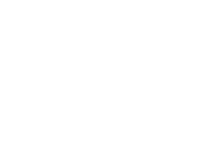 Daily Dispatch LOGO WHITE