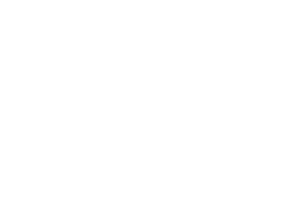Daily Dispatch Weekend Edition LOGO WHITE