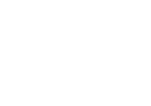 Financial Mail LOGO WHITE