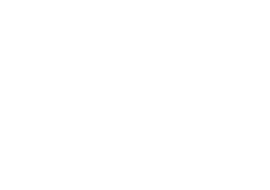 MIMS LOGO WHITE
