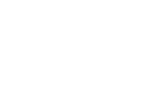 Rise FM LOGO WHITE
