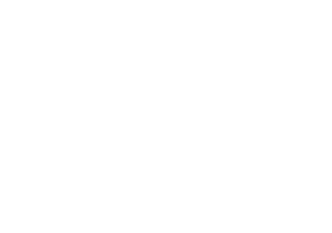 Sowetan LOGO WHITE