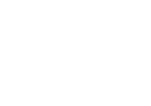SowetanLIVE LOGO WHITE