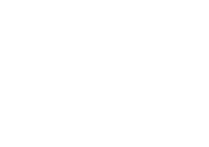 Sunday Times DAILY LOGO WHITE