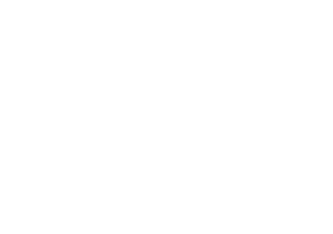 Sunday Times LOGO WHITE