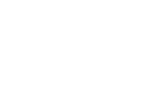 THE MEDIA LOGO WHITE