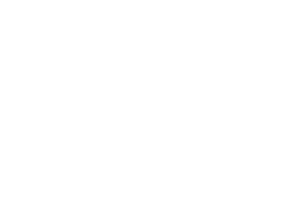 The Home Channel LOGO WHITE