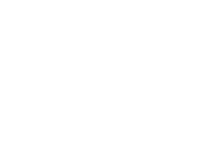 TimesLIVE LOGO WHITE